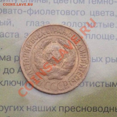 1 копека 1927 г - _var_www_s1_temp_12_284_16_vpjBkN7y452AhpE3kAHe