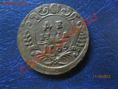 Денга 1735 игод ,красавица.13.10.2012 в 22 15 по Москве - IMG_3945.JPG