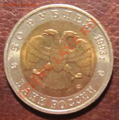 Красная книга - Дальневосточный аист до 15.10.2012 - 22.10 - aist2