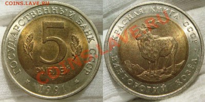Красная Книга 1991г. Филин,Козёл до 18.10.12 в 22.00 по Моск - DSC09916.JPG