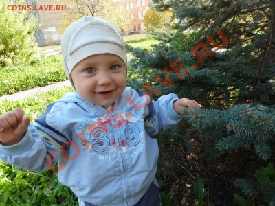Санек. - P1040678.JPG
