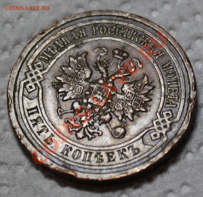 5 копеек 1911г до 21-15 МСК 18.10.12 - IMG_3767.JPG