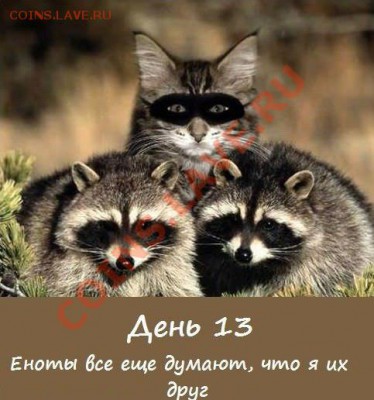 юмор - 8gFluj2HJQ4