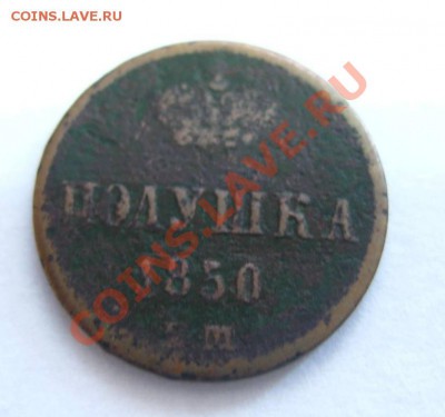 Полушка 1850ЕМ ,прошу оценить!! - IMG_0976.JPG