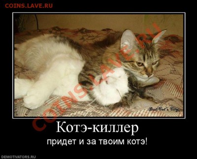 делает - прямо сейчас !!! - 326247_kote-killer