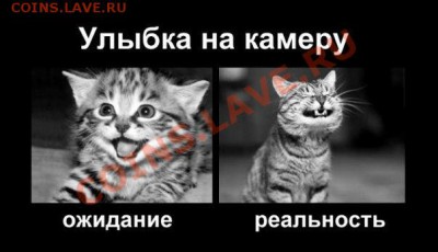 делает - прямо сейчас !!! - wdj7s1HxpXY