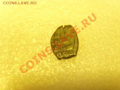 Медная чешуйка - SNV31478.JPG