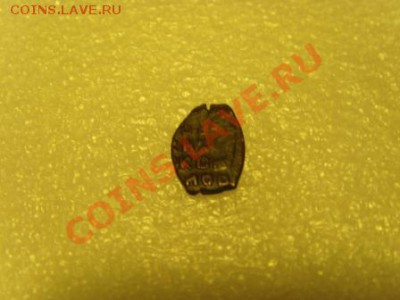 Медная чешуйка - SNV31475.JPG
