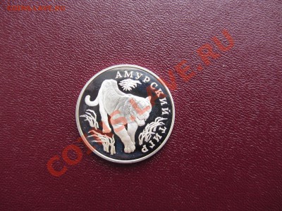 1 руб 1993 Амурский тигр. Серебро 15,55гр с 1 рубля!!! - IMG_0624