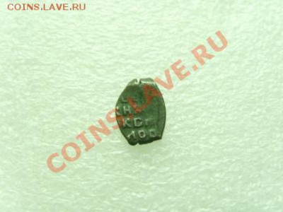 Медная чешуйка - SNV31488.JPG