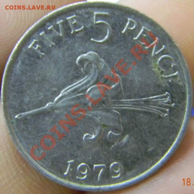 5 пенсов Гернси 1979г. - DSCN2940_thumb