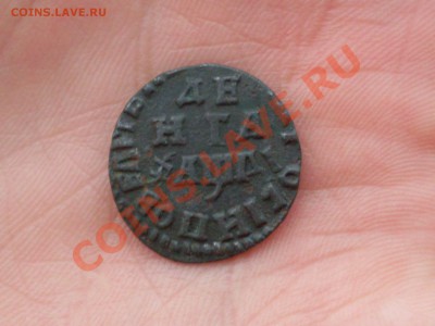 Денга 1714 года - SDC10626.JPG