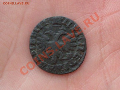 Денга 1714 года - SDC10625.JPG