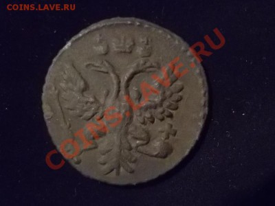 полушка 1730 года - SAM_0335.JPG