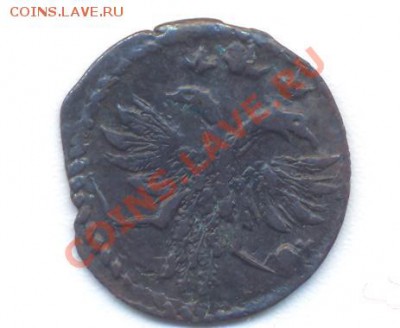 Полушка 1718 года - 2 001