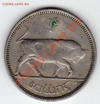 ИРЛАНДИЯ ШИЛЛИНГ 1954 БЫК ДО 25.10.12 В 22.00МСК - img409