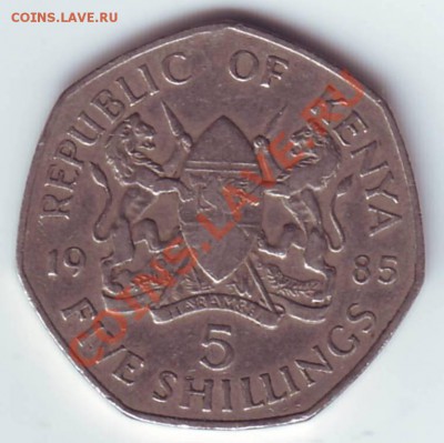 КЕНИЯ.5 ШИЛЛИНГОВ.1985.до 25.10.12 в 22.00мск - Кения 5 шиллингов. 1985 2.JPG