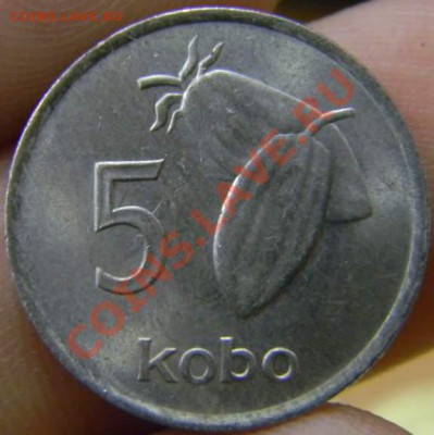 5 кобо Нигерия 1974г. - DSCN2980_thumb
