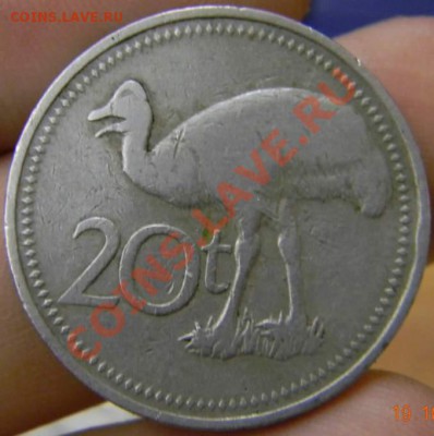 20 тоэа Папуа новая Гвинея 1981г. - DSCN2994_thumb