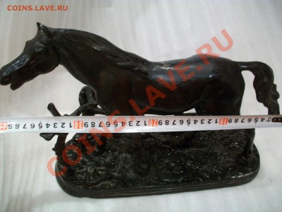 "железный" конь без "лошадиных сил", до 25.10.12  23-00 - 102_1996.JPG