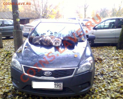 юмор - IMG0216A
