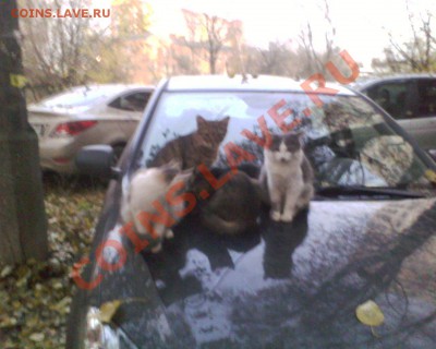 юмор - IMG0220A