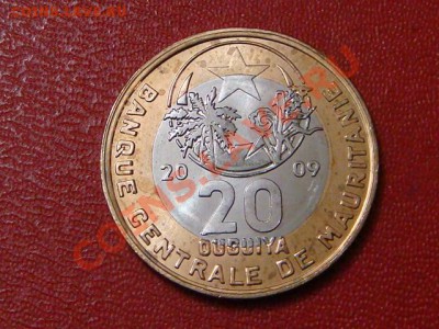 -vБ- Мавритания 20 угия 2009 бимет.  до 25.10(22.00) - DSC08777.JPG