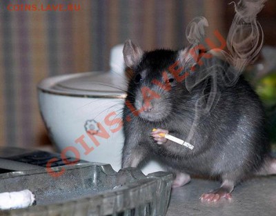 юмор - getImage (1)