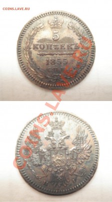 5к 1855г - 5к 1855г