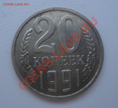 б - DSC097291