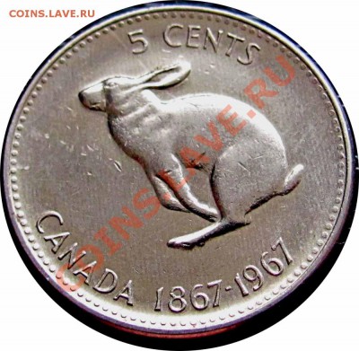 T80 5¢ Канада 1967 Кролик UNC до 26.10 в 22°° - T80 5c 1967_2