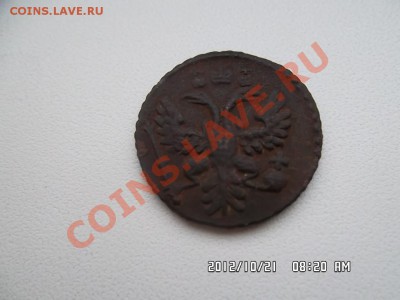 полушка 1730 года - SAM_0360.JPG