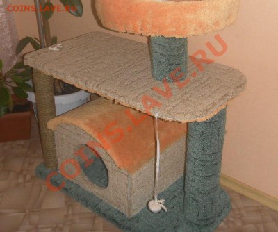 черновой вариант - SAM_7278.JPG