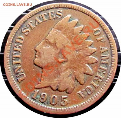 T86 США 1¢ 1905 Indian Head Cent до 27.10 в 22°° - T86 1c 1905_1