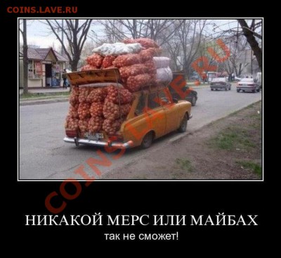 делает - прямо сейчас !!! - 0_861ff_daa22227_XL