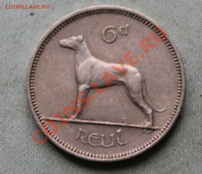 СТАРАЯ ИРЛАНДИЯ 6 пенсов 1959г.СОБАКА  до 27.10.12г. в 22-00 - IMG_2938.JPG