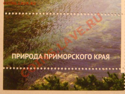 Марки БЛОК №1 САММИТ ВЛАДИВОСТОК 2012 до 19-30 25.10.12 - DSC04369.JPG