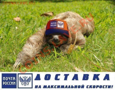 Не работает отслеживание РПО - почта россии