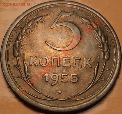 5 копеек 1955!XF-aUNC!До 25.10.12!!! - DSC01108.JPG