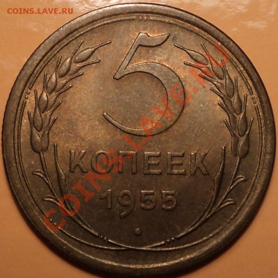 5 копеек 1955!XF-aUNC!До 25.10.12!!! - DSC01107.JPG