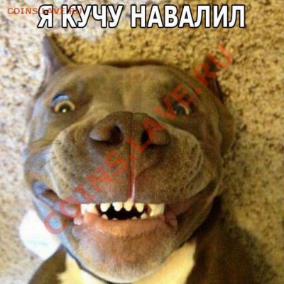делает - прямо сейчас !!! - 30MyIT4R4Jg