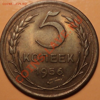 5 копеек 1956!XF-aUNC!До 25.10.12!!! - DSC01110.JPG