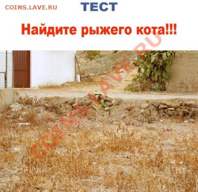 юмор - PqRUTGpIu8M