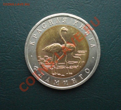 КК 50 руб. 1994 Фламинго до 26.10.12 в 22.00 по МСК - фла1
