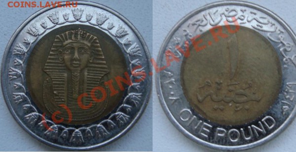 ONE POUND - монета.JPG