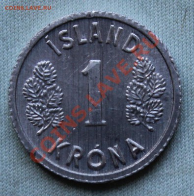 Конкурс «Veni Vedi Vici» - IMG_1833.JPG