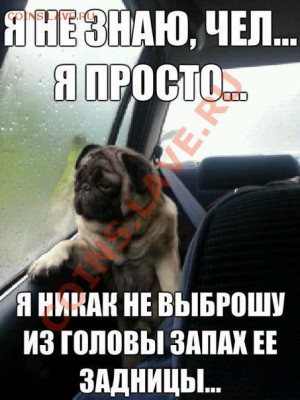 юмор - vAsHAFXLZ-Y
