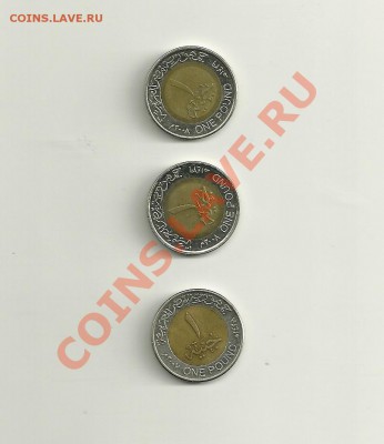 Египетская монета ONE POUND-3шт 27.10.2012 21.00 - сканирование0014