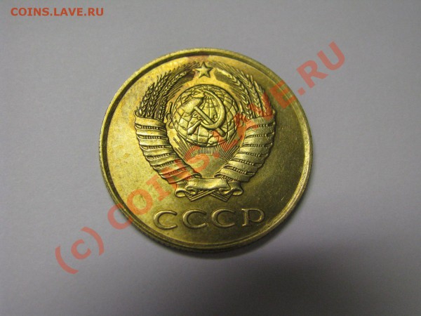 первая - IMG_0779-1