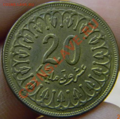20 мильем Тунис - DSCN3053_thumb